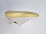 کتونی آدیداس YEEZY - Image 7